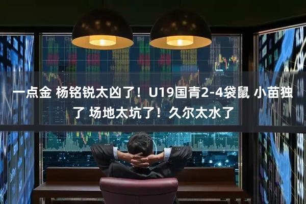 一点金 杨铭锐太凶了！U19国青2-4袋鼠 小苗独了 场地太坑了！久尔太水了