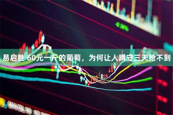 易启胜 60元一斤的葡萄，为何让人蹲守三天抢不到