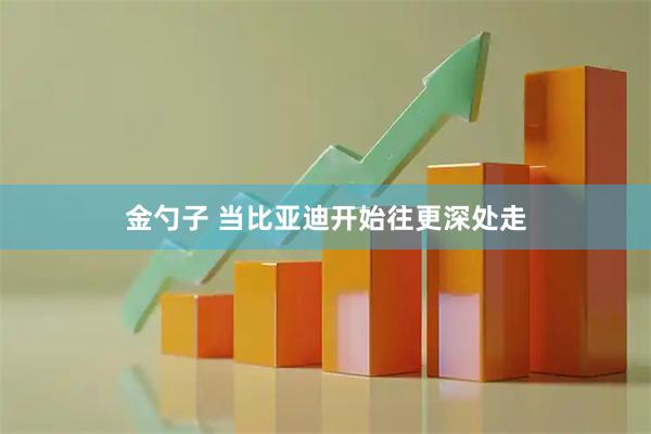 金勺子 当比亚迪开始往更深处走