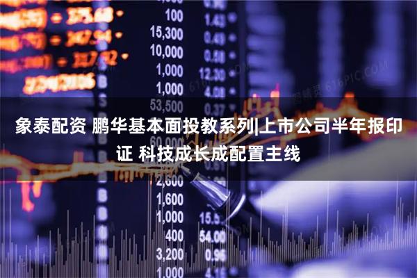 象泰配资 鹏华基本面投教系列|上市公司半年报印证 科技成长成配置主线